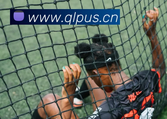 多媒体互动体验